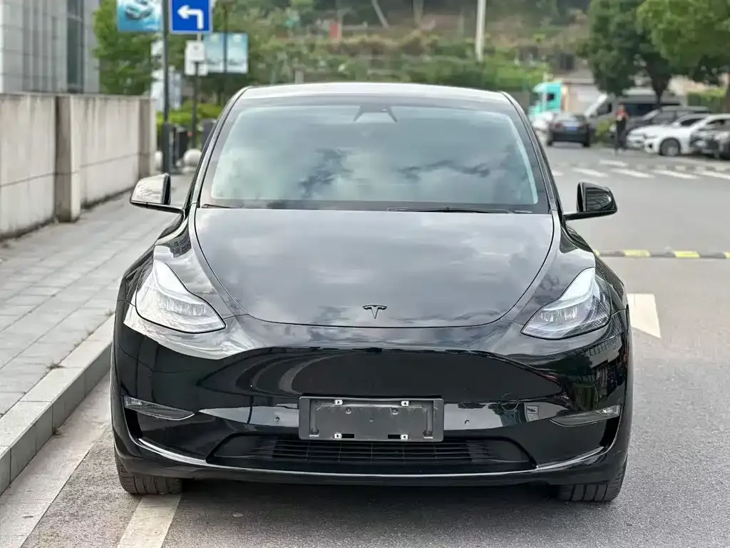 Tesla Model Y — фото 1