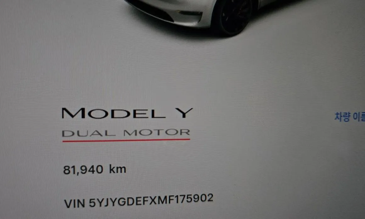 Tesla Model Y 2021 из KR, фото 5
