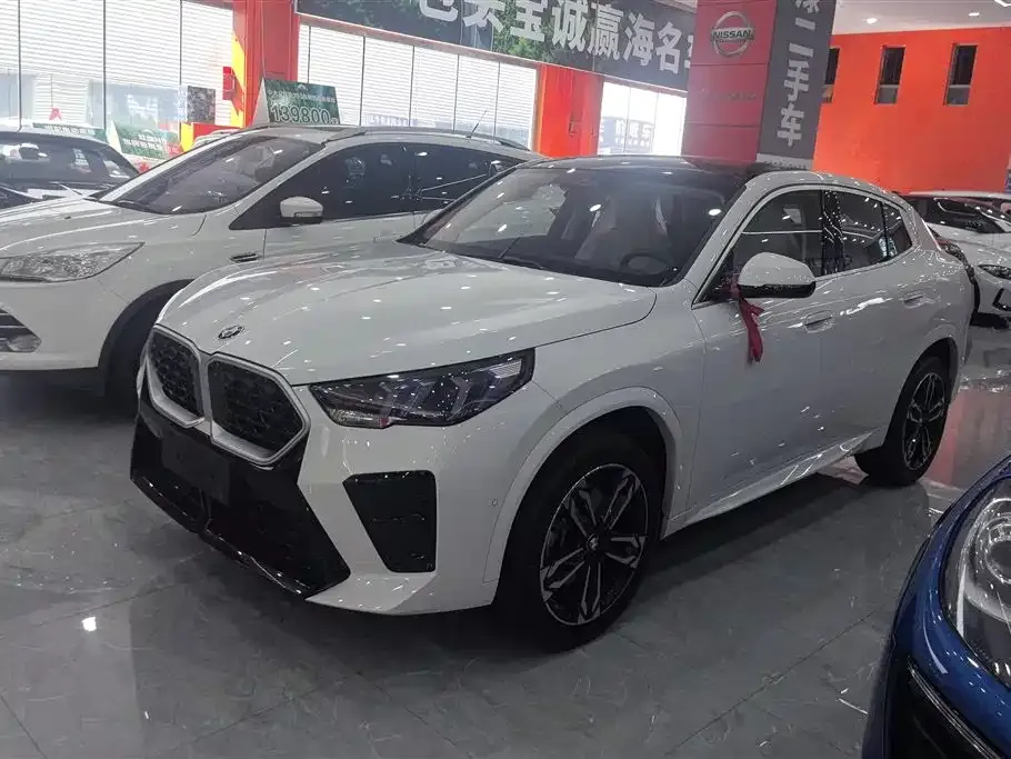 BMW X2 (Import) — фото 1
