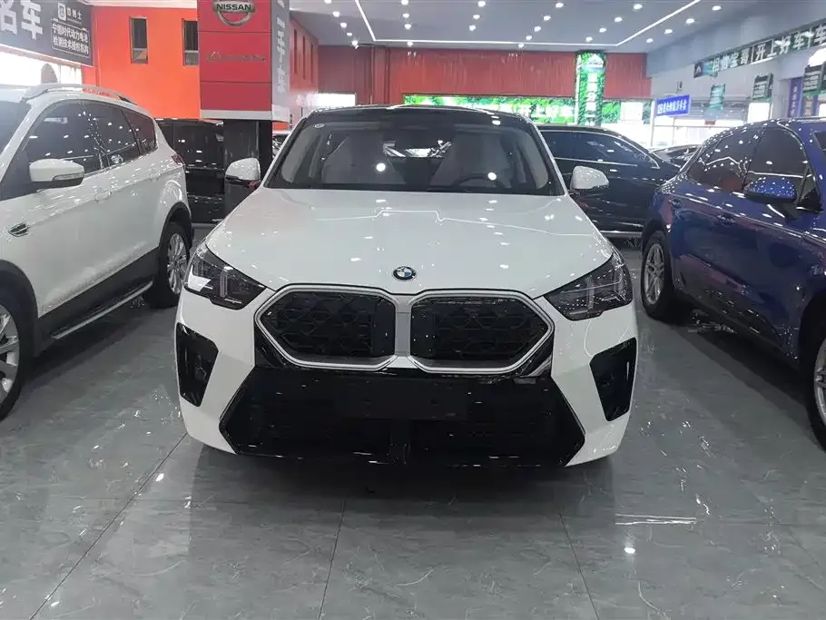 BMW X2 (Import) — фото 7