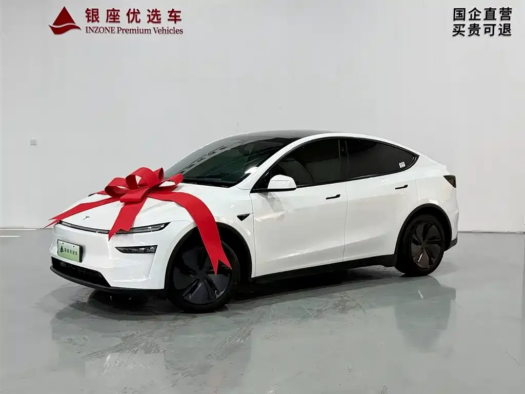 Tesla Model Y — фото 8