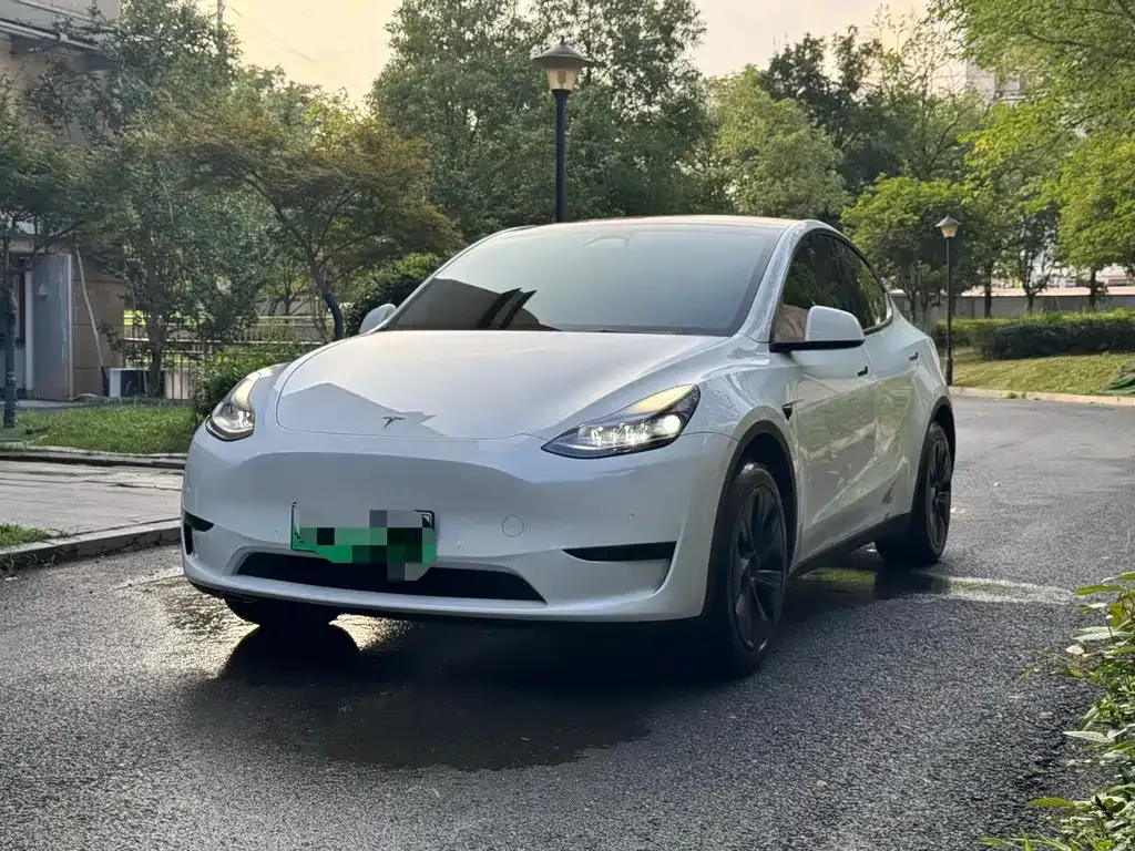 Tesla Model Y — фото 1
