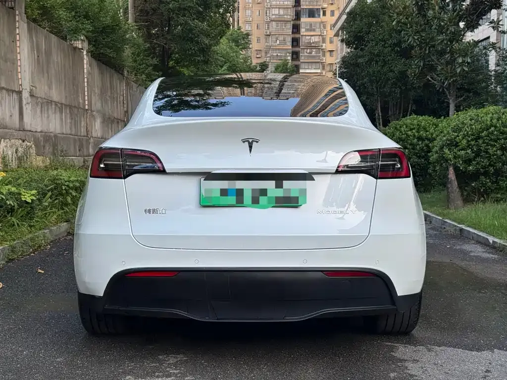 Tesla Model Y — фото 3