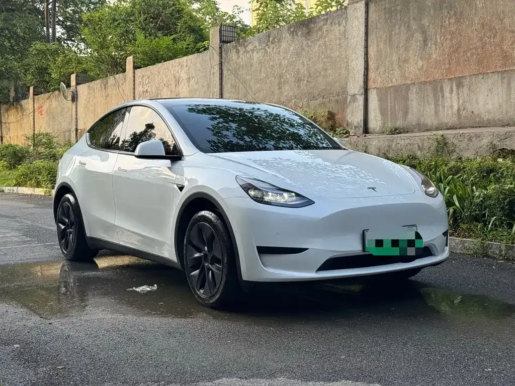 Tesla Model Y — фото 6