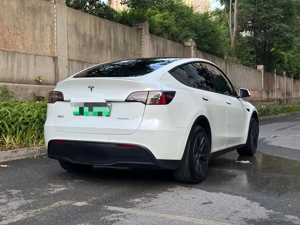 Tesla Model Y — фото 8