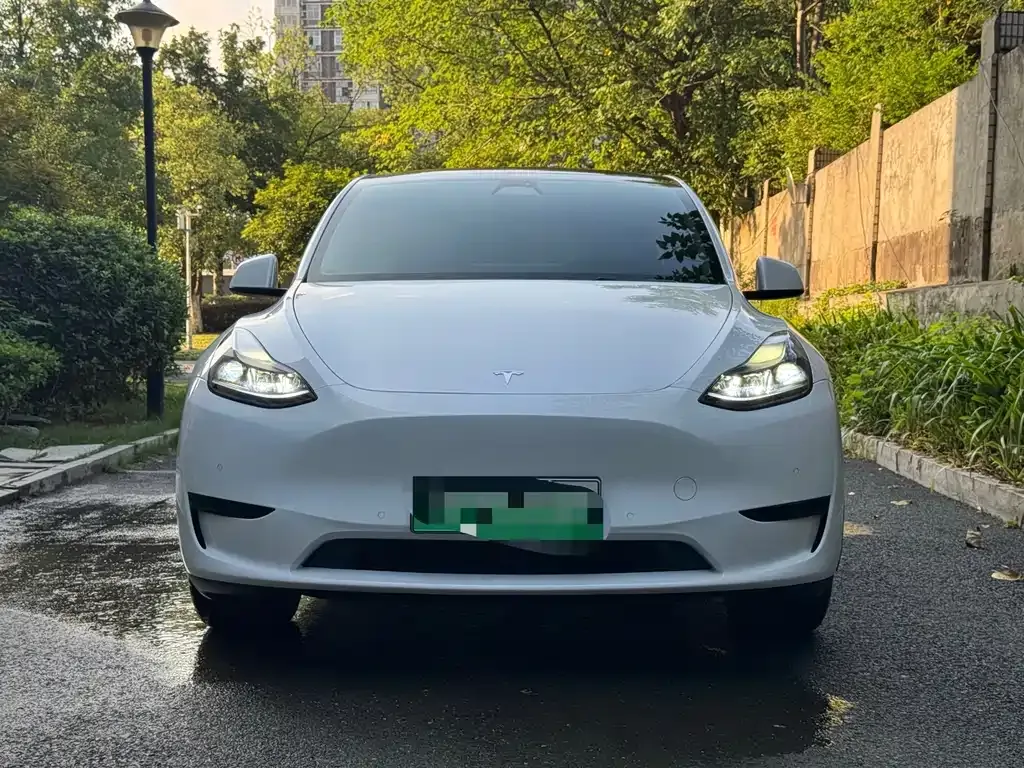 Tesla Model Y — фото 9
