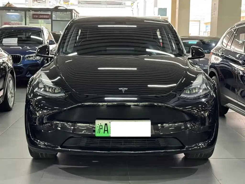 Tesla Model Y — фото 9