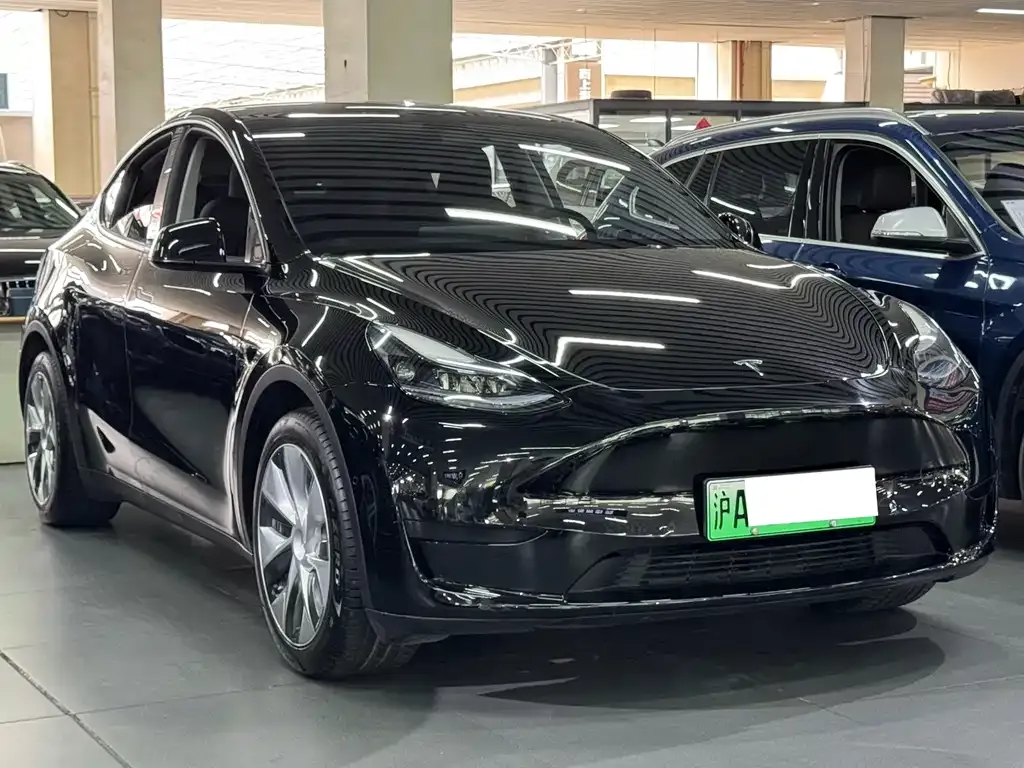 Tesla Model Y — фото 8