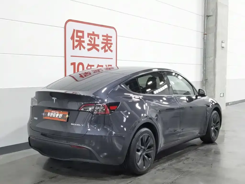 Tesla Model Y — фото 6