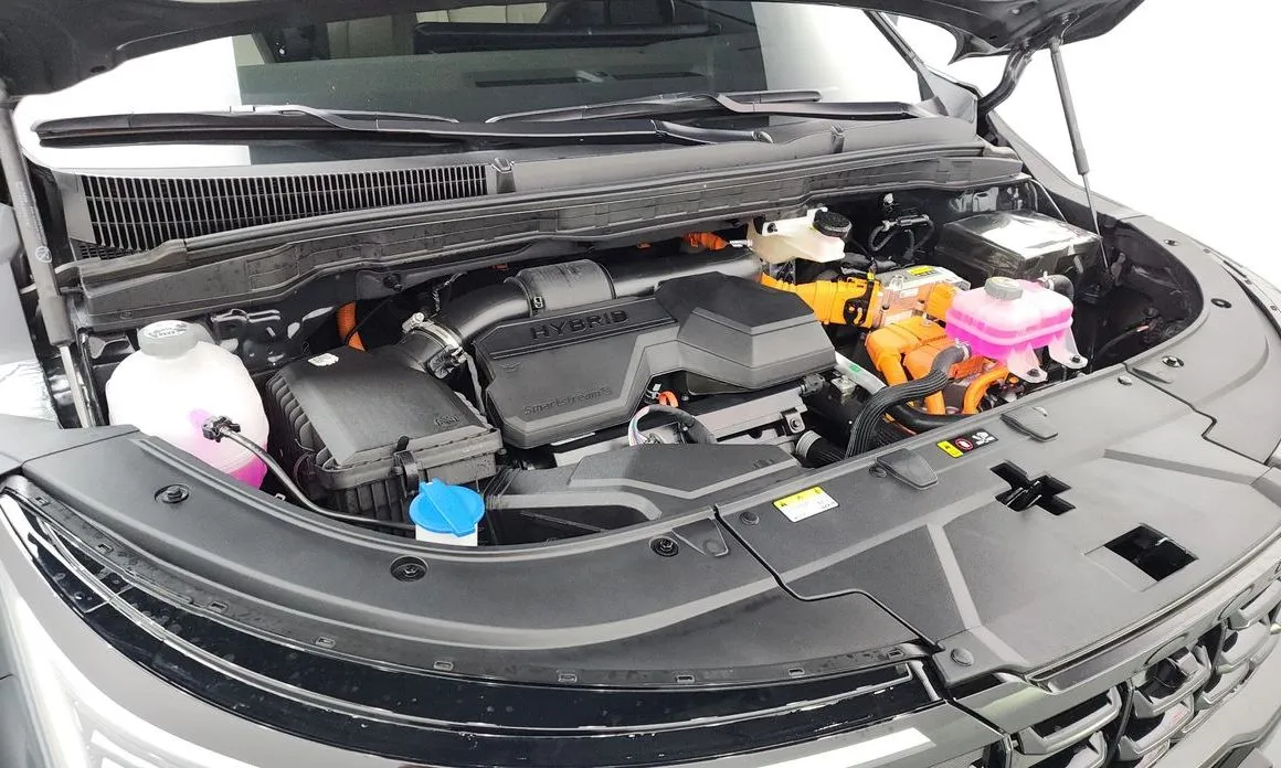 Kia Carnival — фото 10