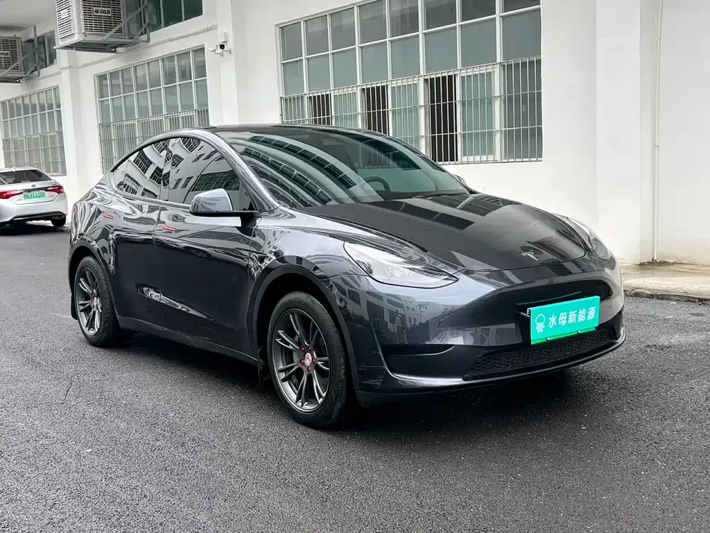 Tesla Model Y — фото 7