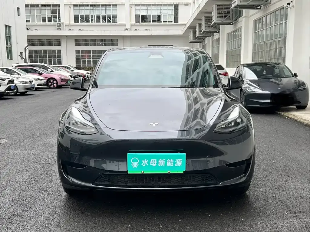 Tesla Model Y — фото 6