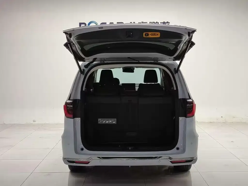 Honda Elysion 2024 из CN, фото 3