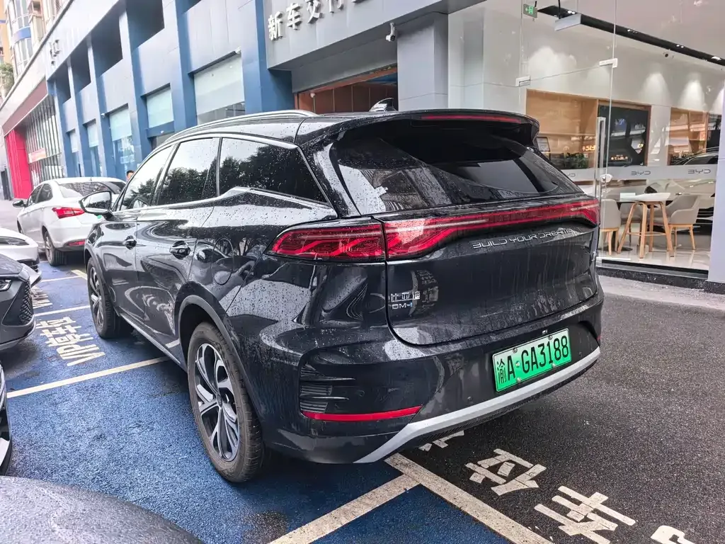 BYD Tang New Energy — фото 7