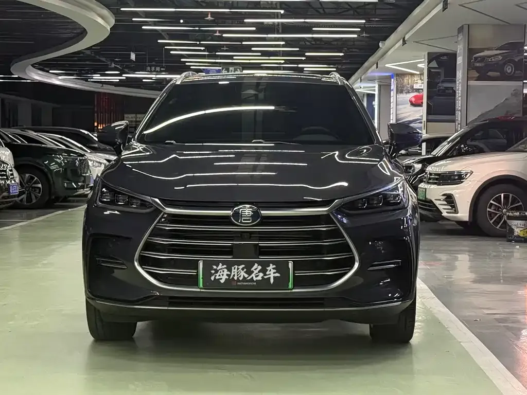 BYD Tang New Energy — фото 10