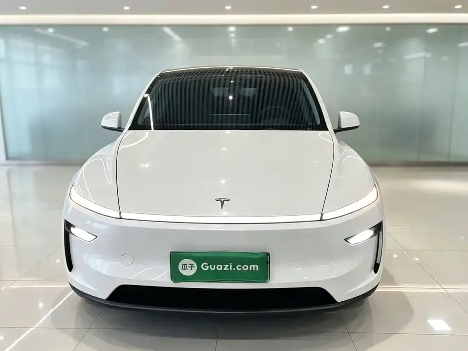 Tesla Model Y — фото 2