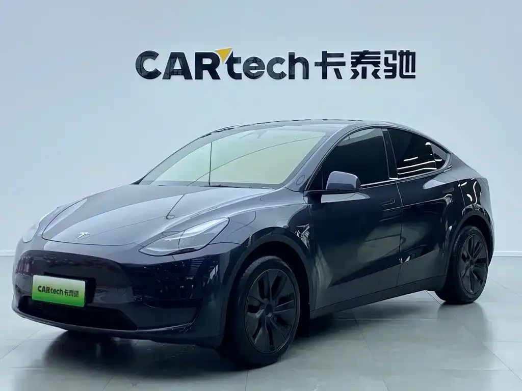Tesla Model Y — фото 1