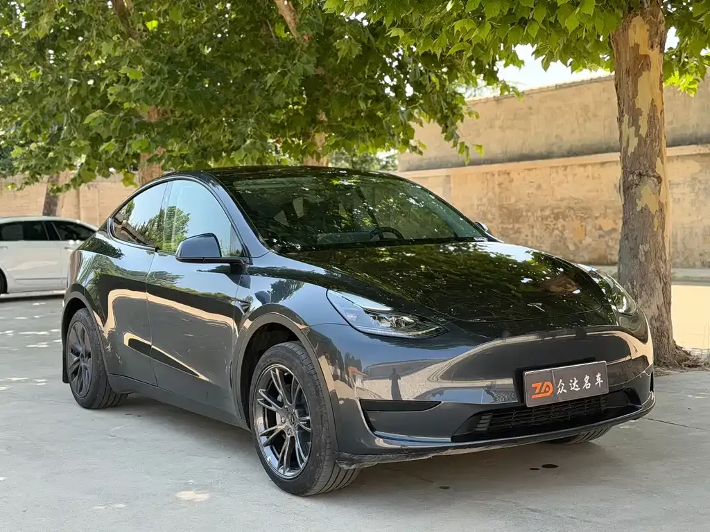 Tesla Model Y — фото 9