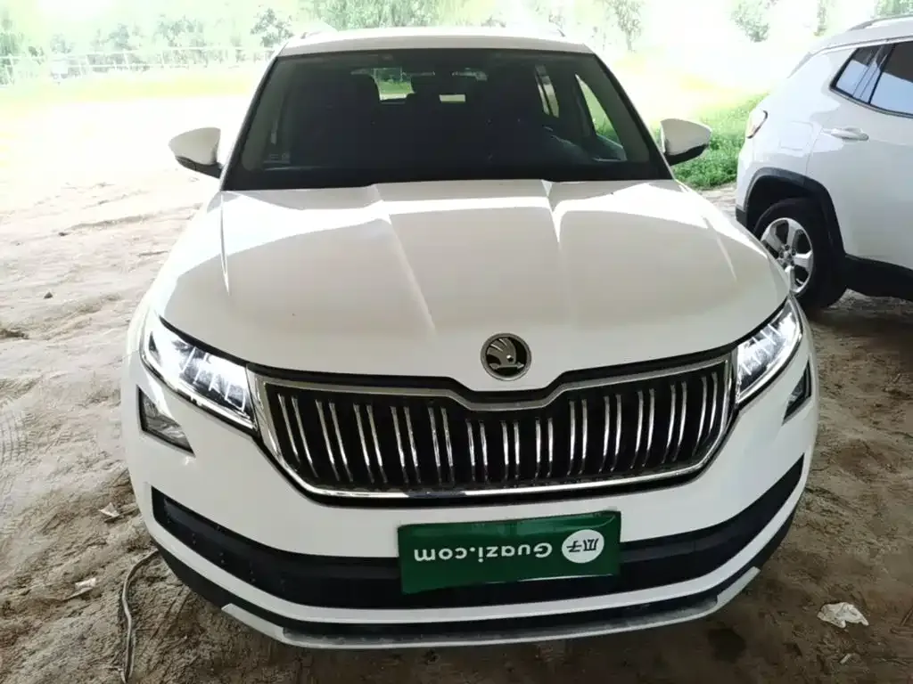 Skoda Kodiaq — фото 8