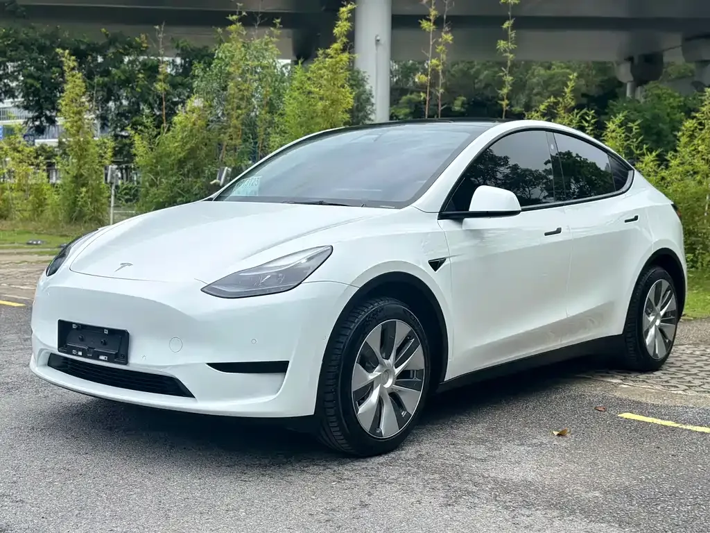 Tesla Model Y — фото 1