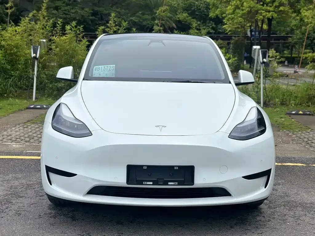 Tesla Model Y — фото 3