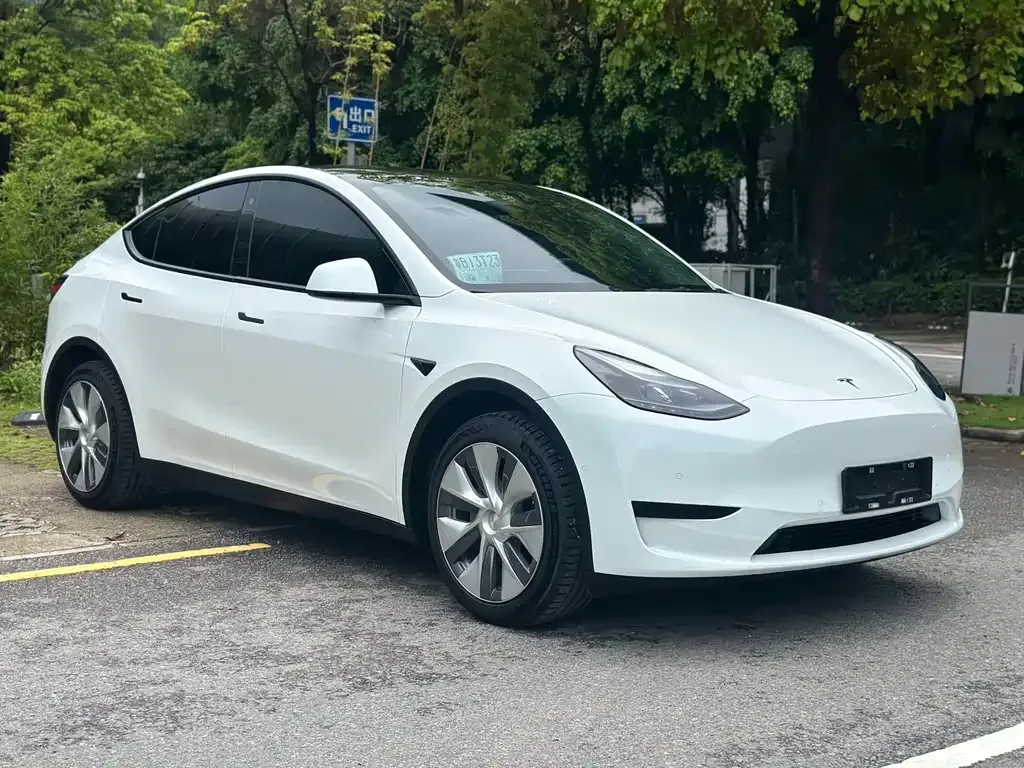 Tesla Model Y — фото 9