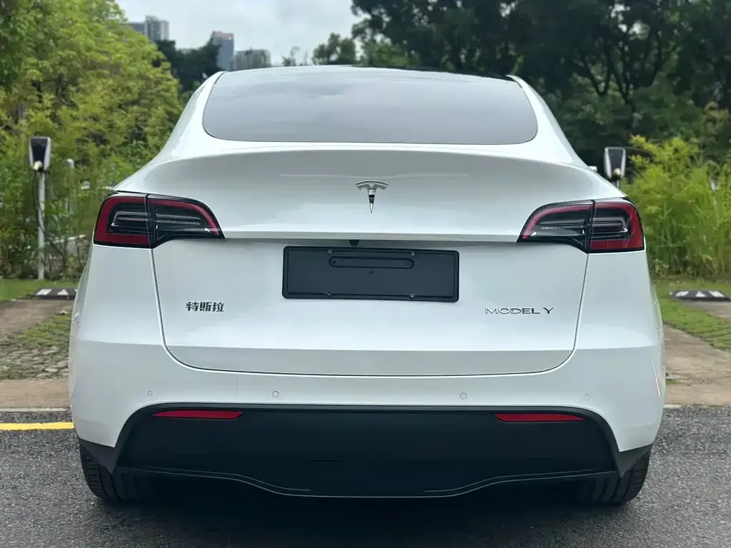 Tesla Model Y — фото 6