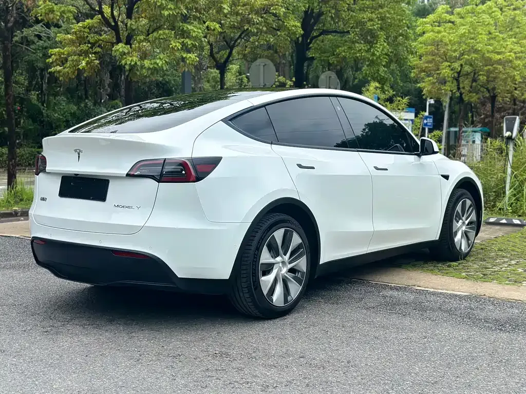 Tesla Model Y — фото 10