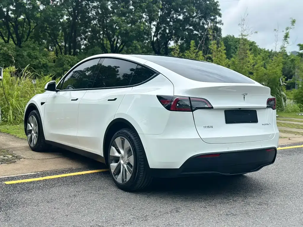 Tesla Model Y — фото 7