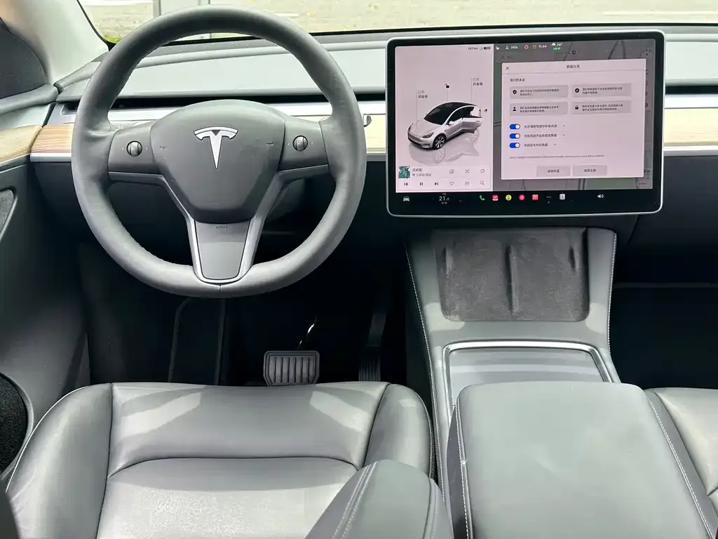 Tesla Model Y — фото 2