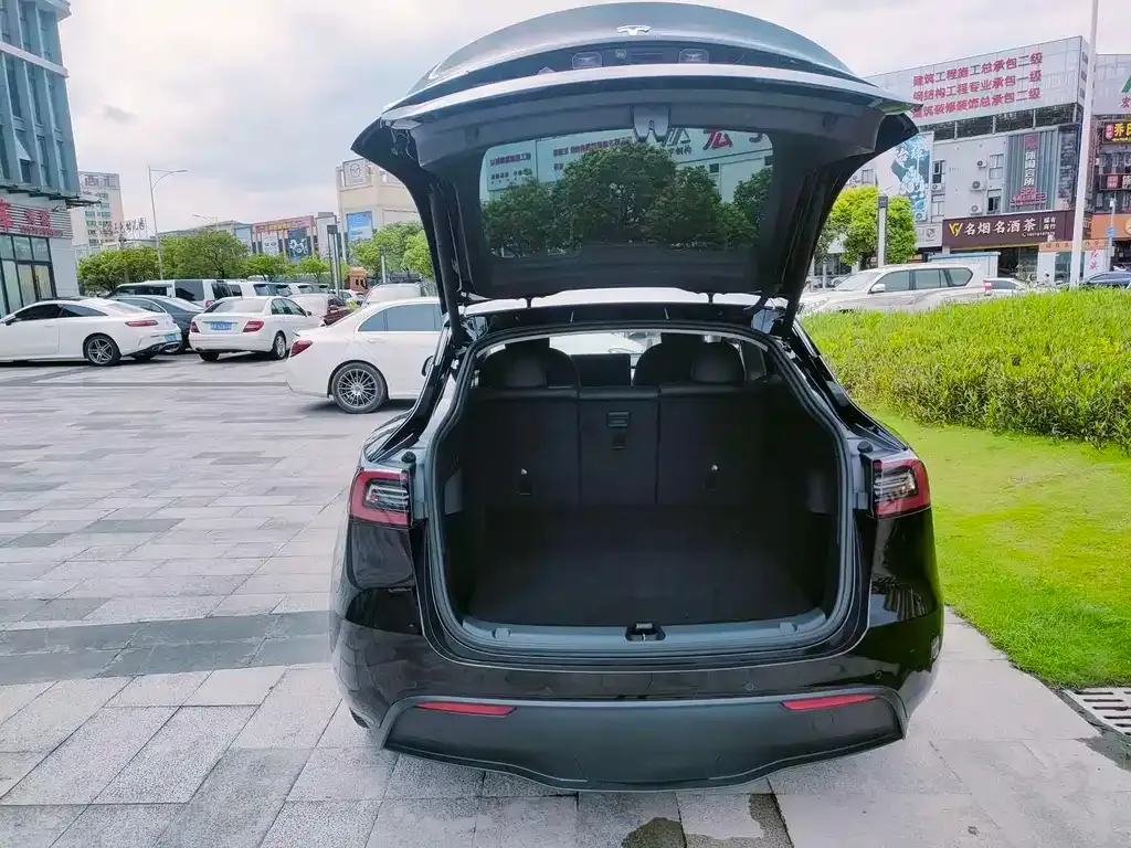 Tesla Model Y — фото 10