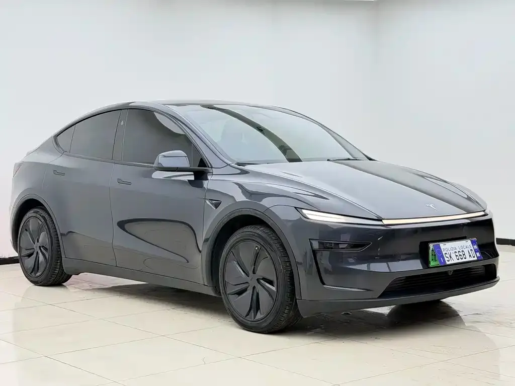Tesla Model Y — фото 3