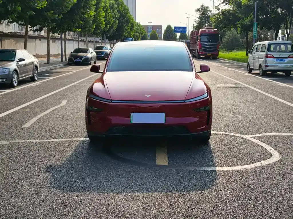 Tesla Model Y — фото 10