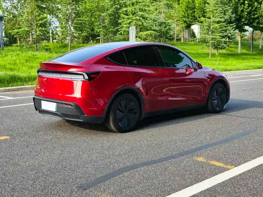 Tesla Model Y — фото 9