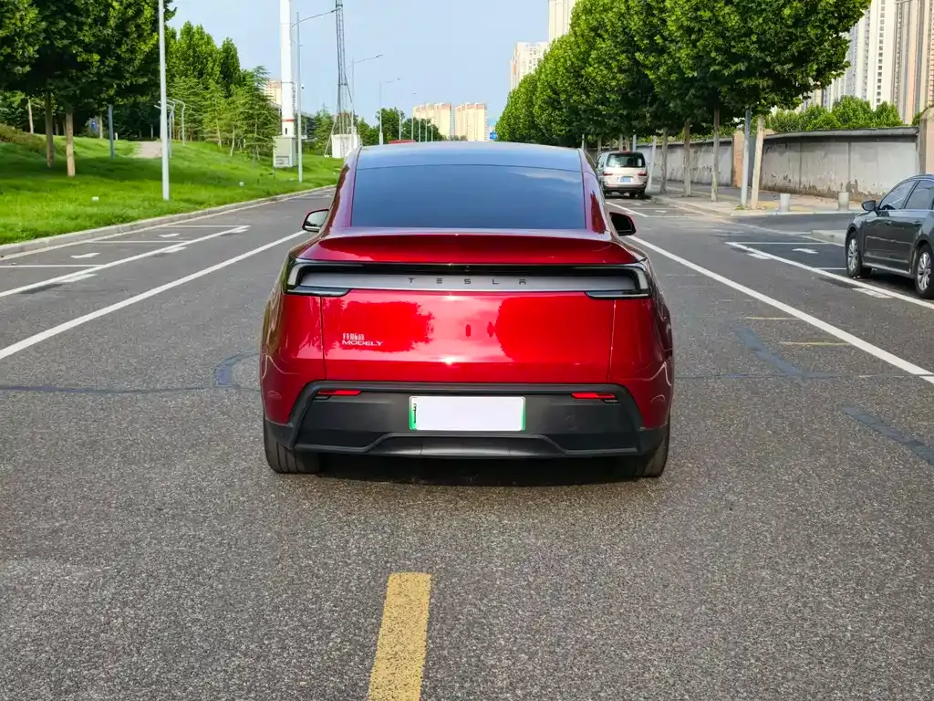 Tesla Model Y — фото 8