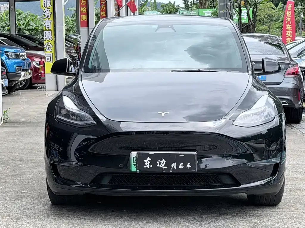 Tesla Model Y — фото 9