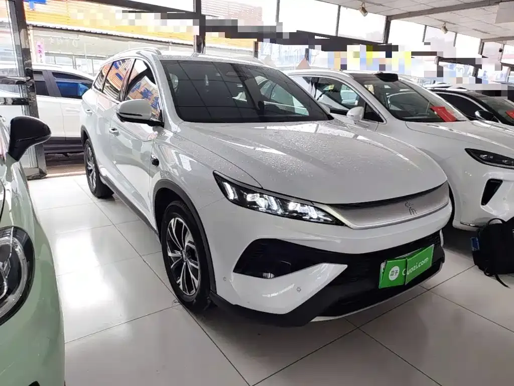 BYD Pro New Energy — фото 6