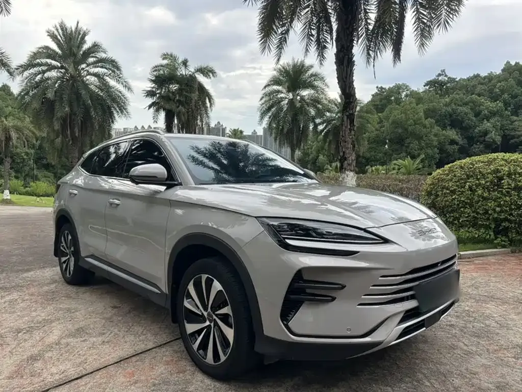 BYD PLUS New Energy — фото 8