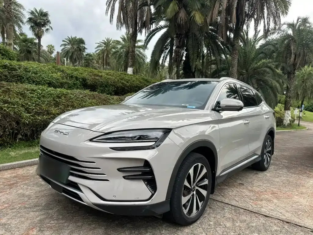 BYD PLUS New Energy — фото 10