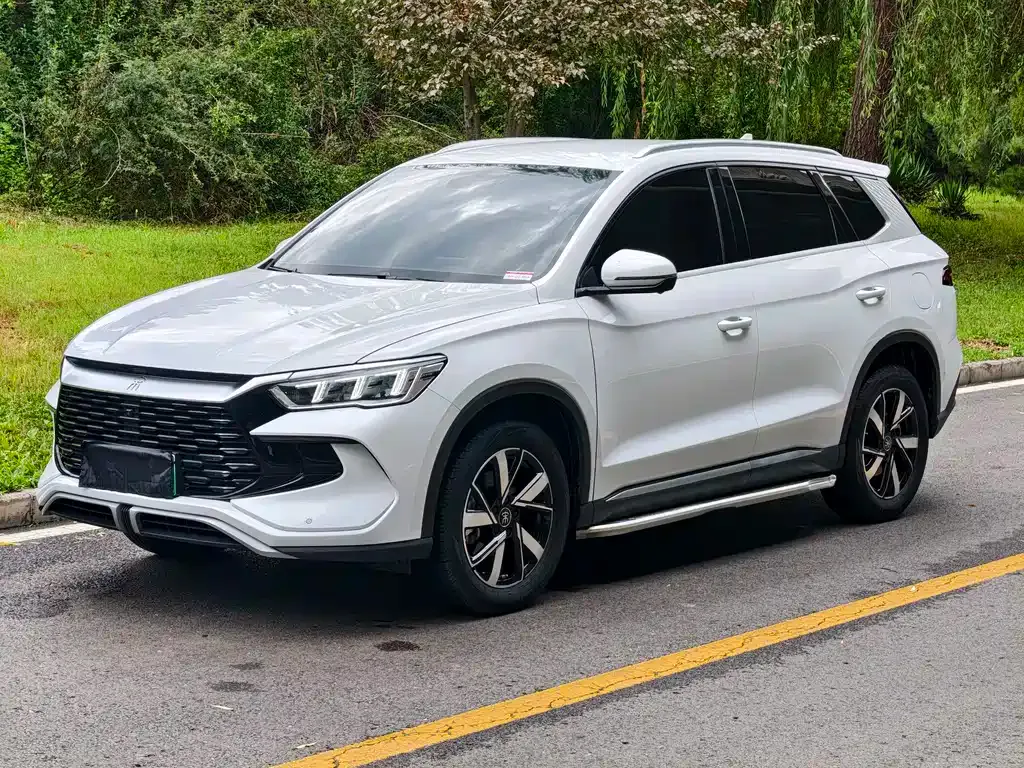 BYD Pro New Energy — фото 1