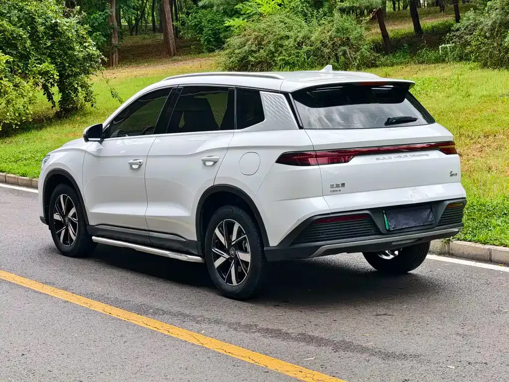 BYD Pro New Energy — фото 9