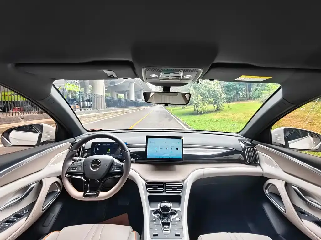 BYD Pro New Energy — фото 3