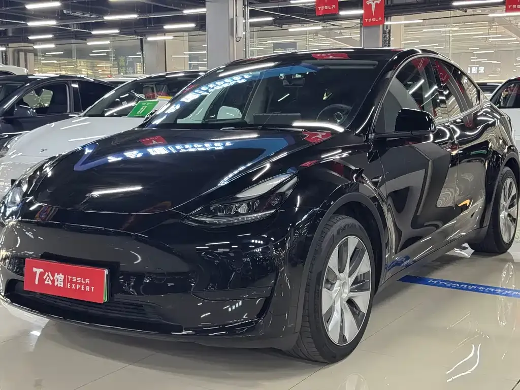 Tesla Model Y — фото 1