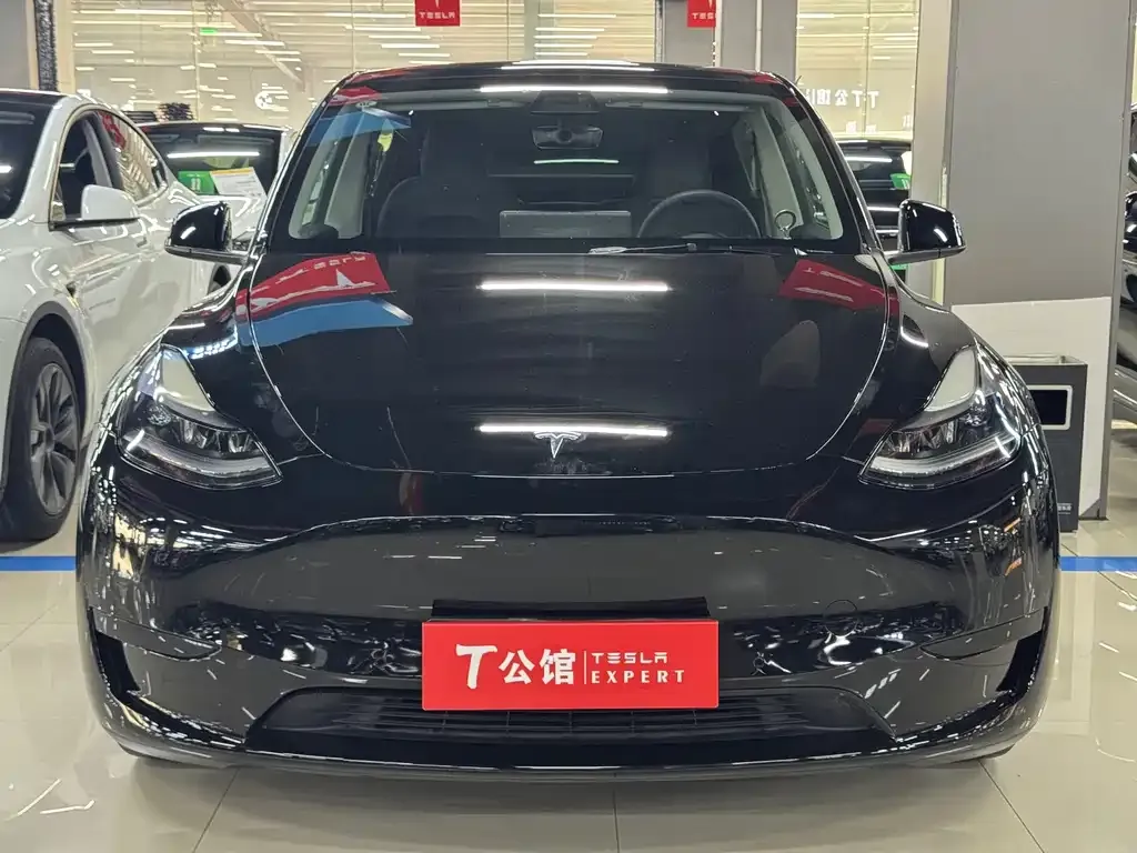 Tesla Model Y — фото 9