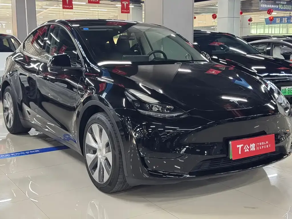 Tesla Model Y — фото 7