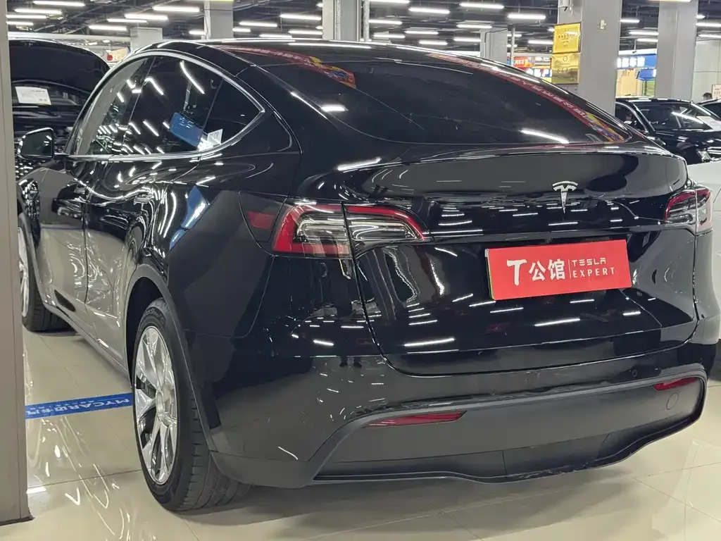 Tesla Model Y — фото 8