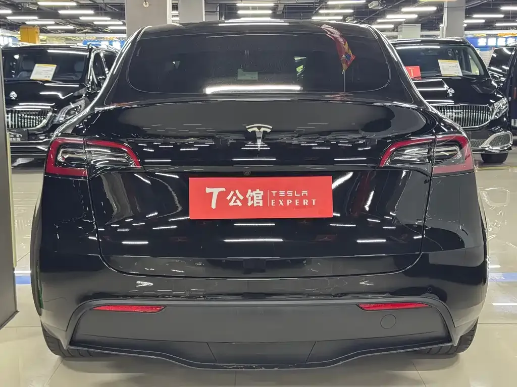 Tesla Model Y — фото 10