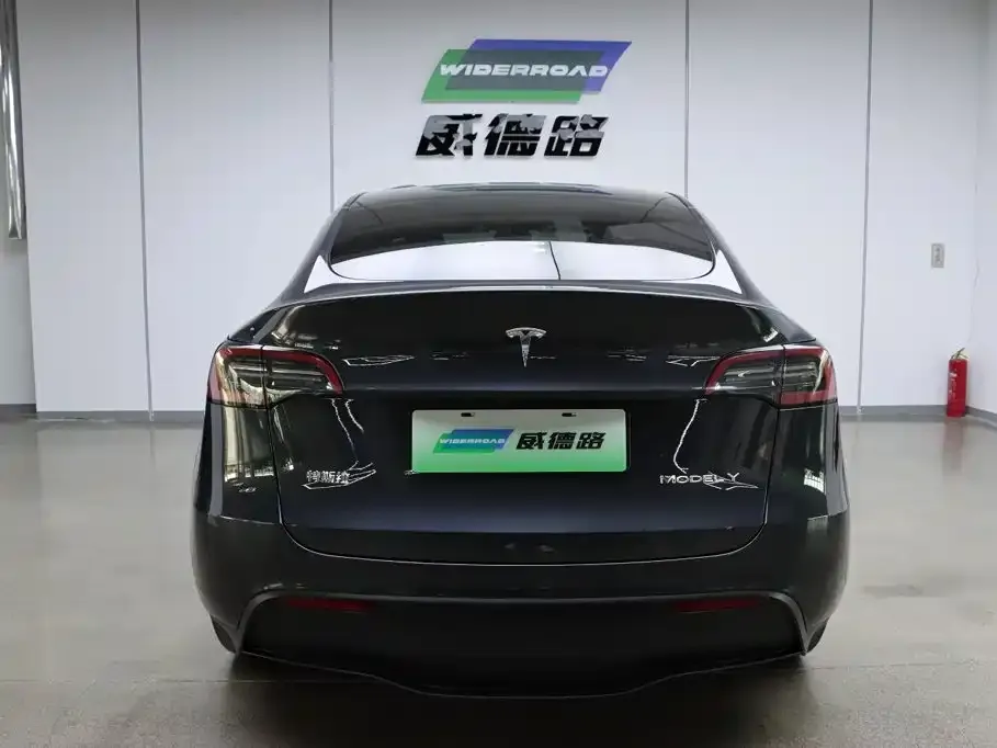 Tesla Model Y — фото 10