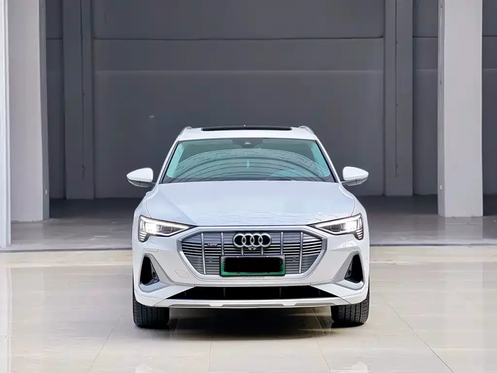 Audi e-tron 2022 из CN, фото 2