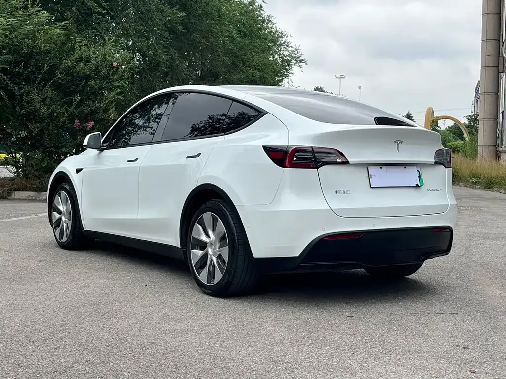 Tesla Model Y — фото 10